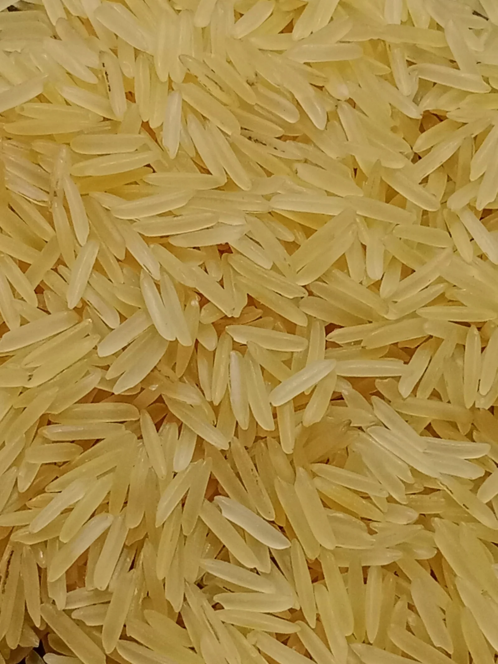 1509 Golden Sella Basmati Rice